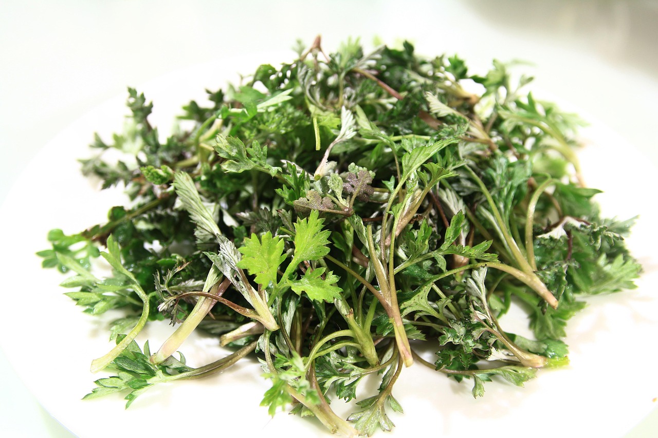 DIY Mugwort Dream Pillow and Sachets: A Craft Rooted in Tradition
