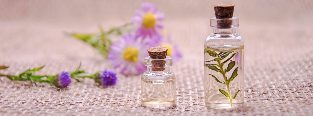 What Is Mugwort Essential Oil? The Complete Guide to an Old-World Botanical